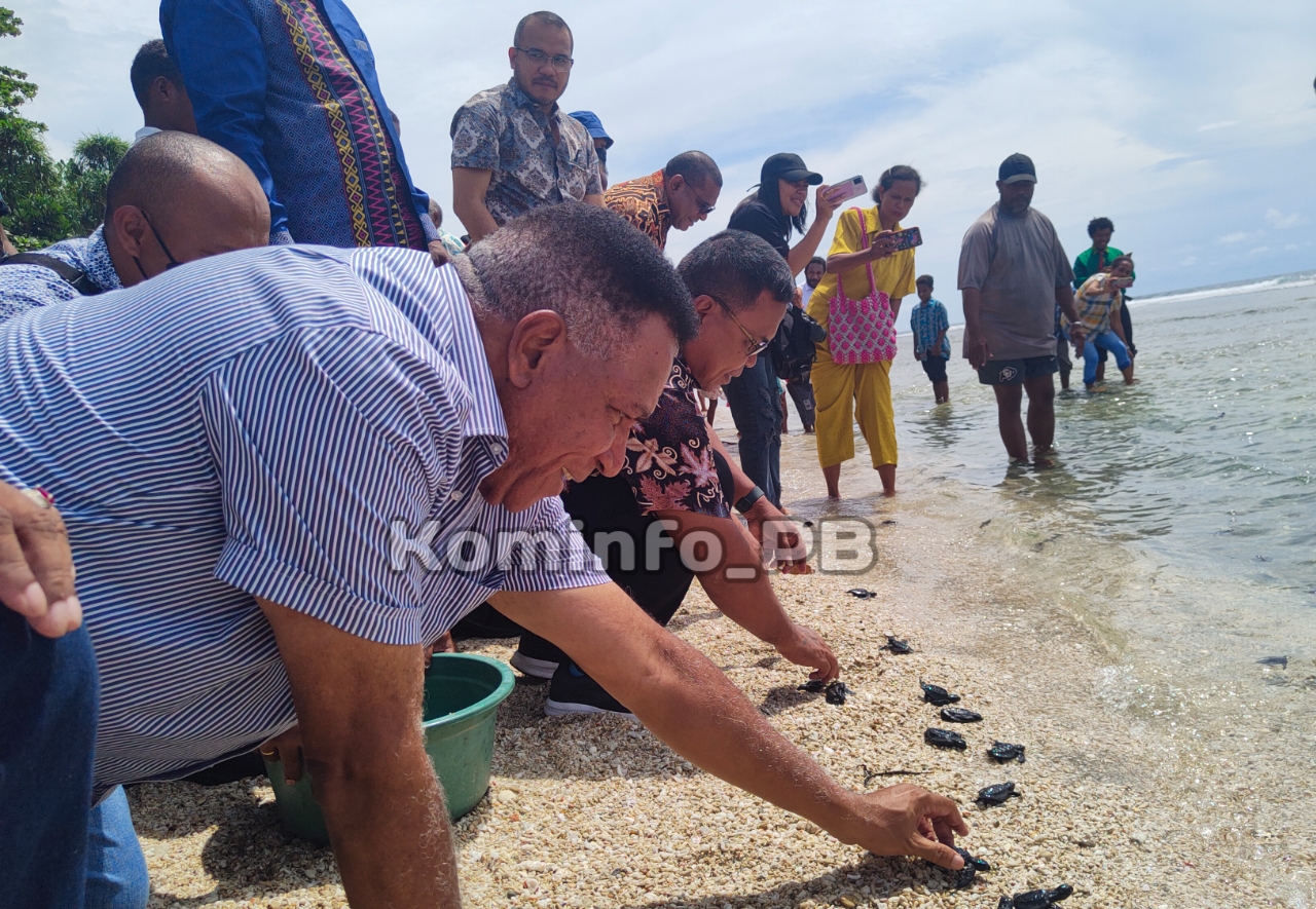 Ratusan Tukik Dilepas Ke Laut, Pj. Gubernur Waterpauw Berpesan Lestarikan Bersama
