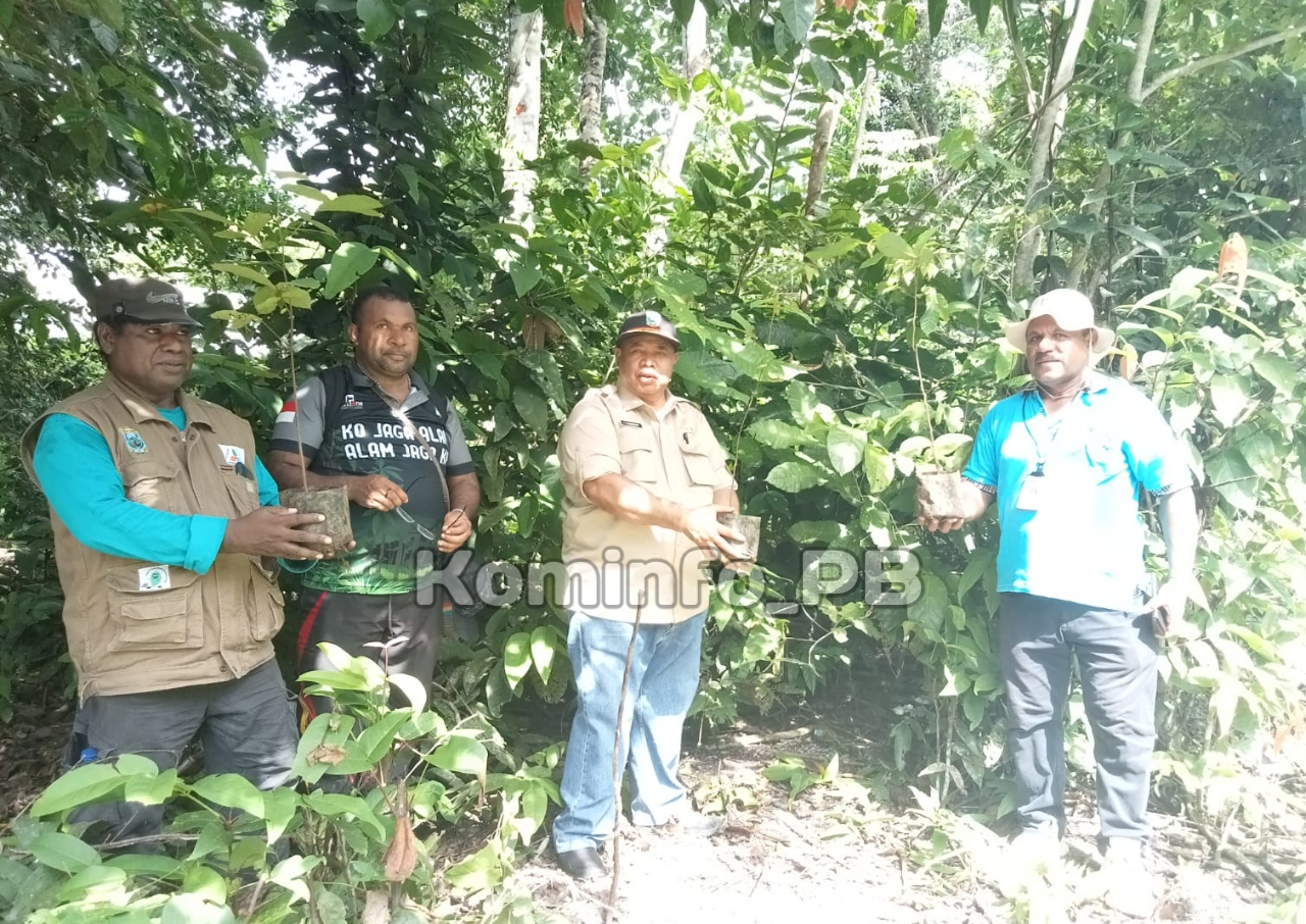 Menindaklanjuti Arahan Pj. Gubernur Waterpauw, Lima OPD Papua Barat Tanam Pohon di Mansinam