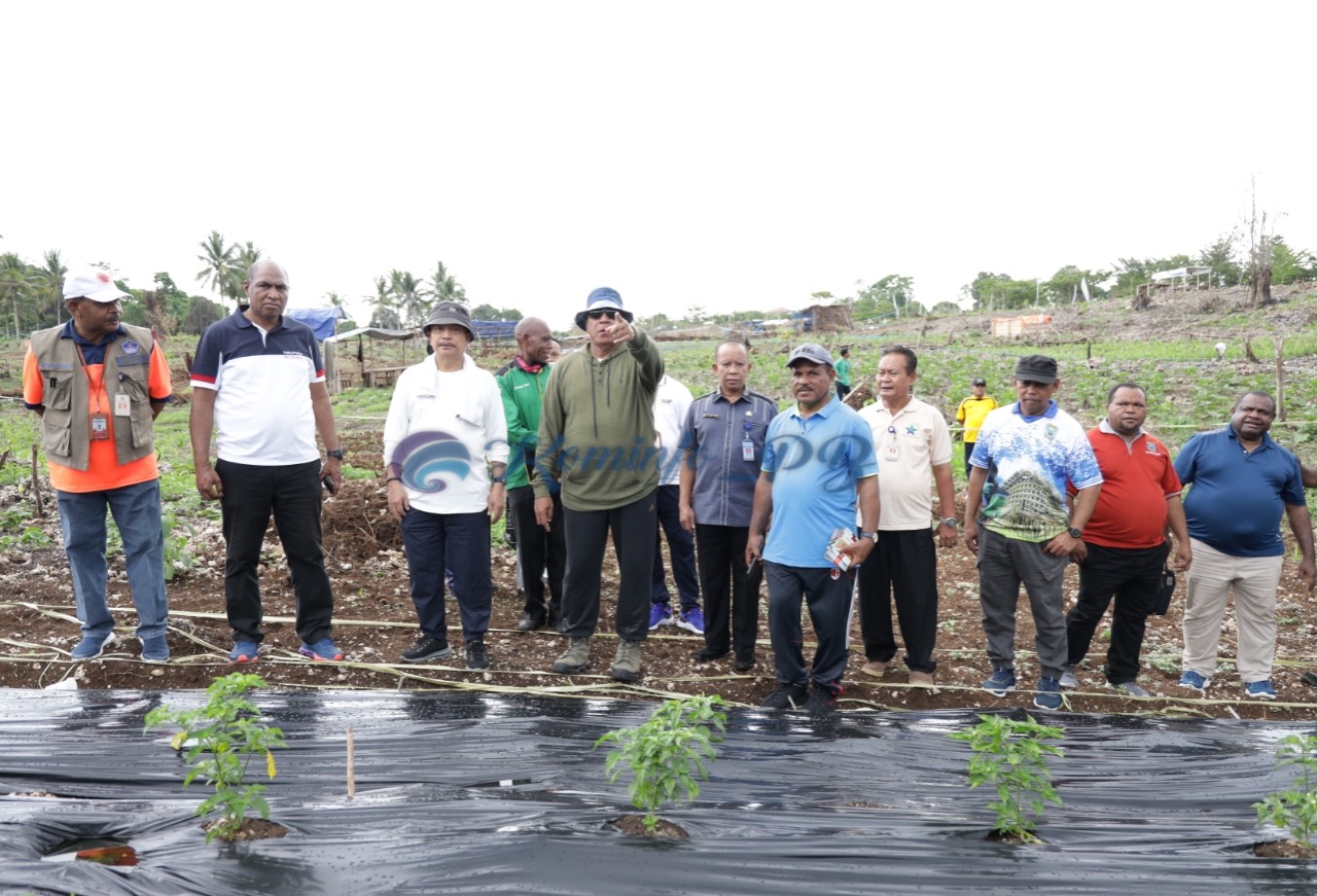 Penjabat Gubernur Waterpauw Seriusi Pengembangan Lahan Kebun Pangan, Banyak Pihak Akan Terlibat