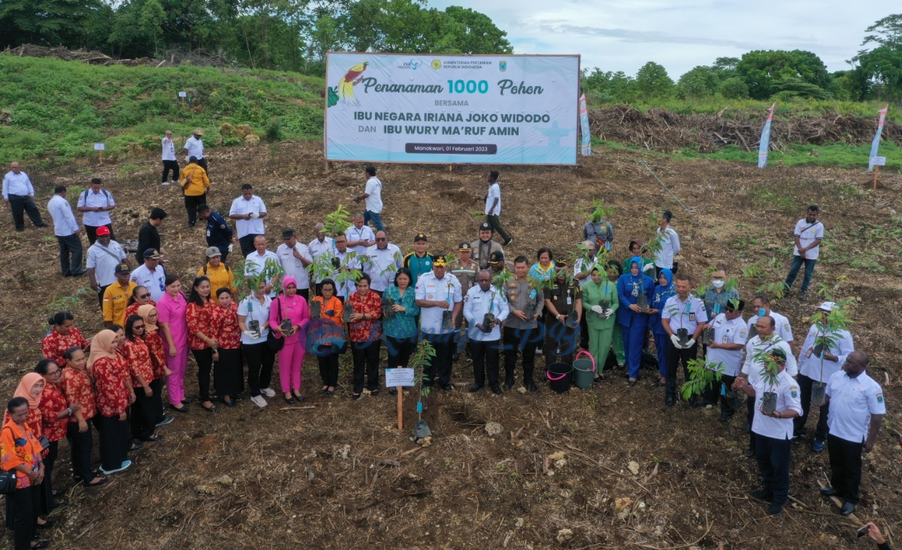 Pj. Gubernur Papua Barat Pimpin Gerakan Penanaman 1000 Pohon dari Susweni
