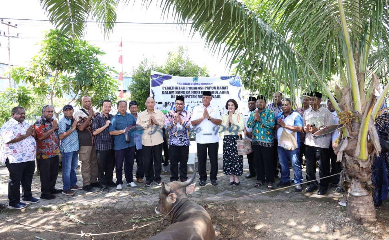 Pj. Gubernur Waterpauw Serahkan Bantuan 45 Ekor Sapi Qurban Bagi Umat Muslim Papua Barat