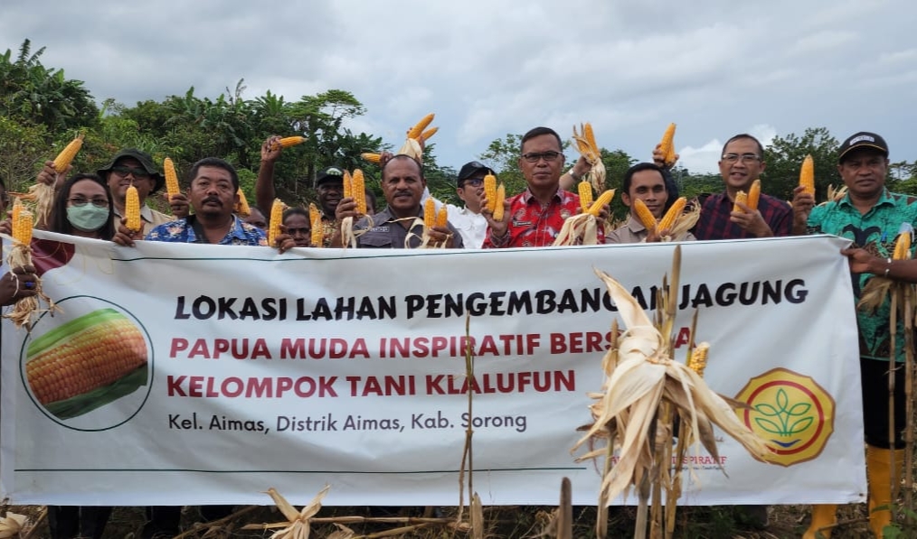 Pj. Gubernur Papua Barat Apresiasi Kelompok Tani Kab. Sorong Berhasil Budidaya Tanaman Jagung