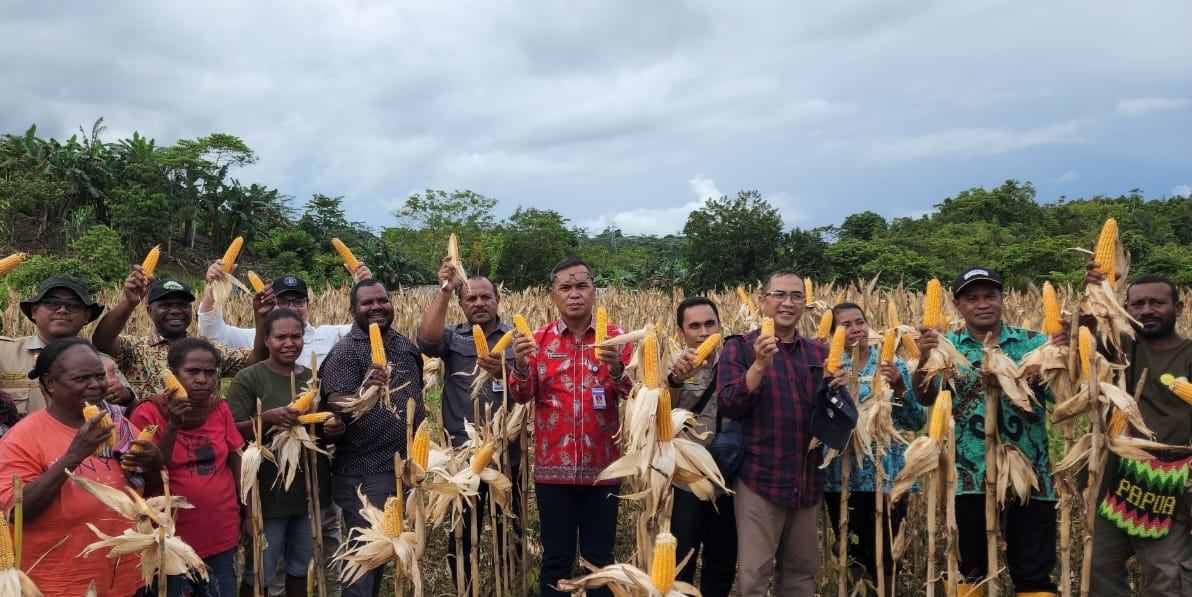 Pencanangan Presiden Jadi Acuan, Kadis TPH-Bun PB : Papua Muda Inspiratif Bumper Ketahanan Pangan Daerah