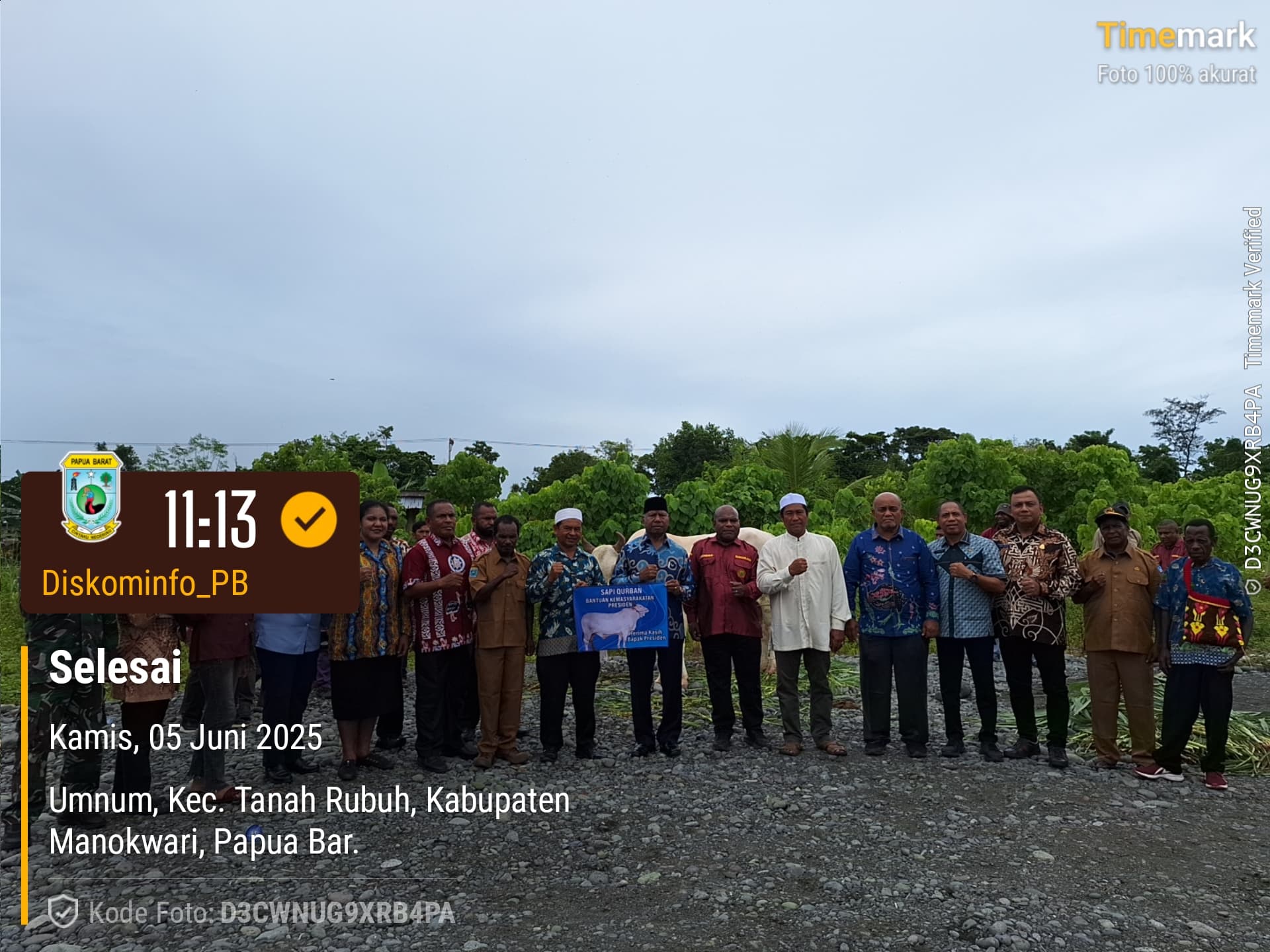 Gubernur Papua Barat Serahkan 1 Ekor Sapi Kurban Bantuan Presiden di Kampung Watergam